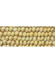 Dallas Gold Rugs - Thumbnail - 4