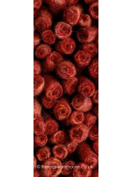 Halifax Red Rug - Thumbnail - 4