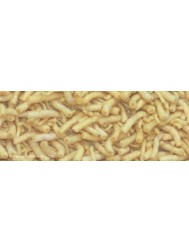 Miami Gold Rug - Thumbnail - 3