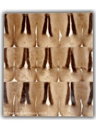 Revoir Rug - Thumbnail - 4