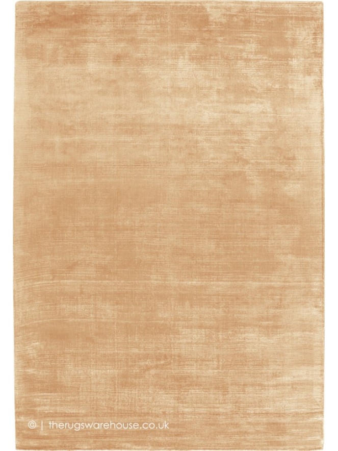 Trendy Shiny Apricot Rug - 5