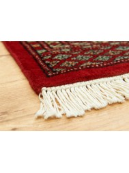 Bokhara Red Rug - Thumbnail - 7