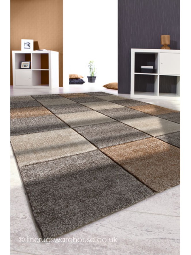 Bordeaux Light Brown Rug - 4