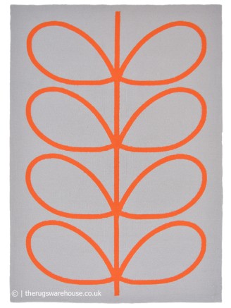 Giant Linear Stem Persimmon