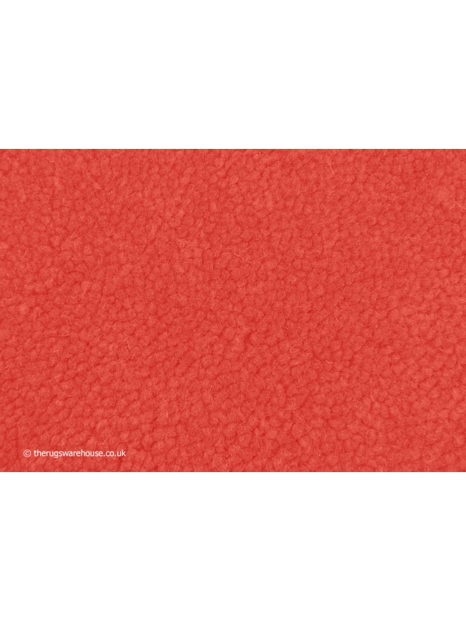 Home Comfort Coral Rug - 5