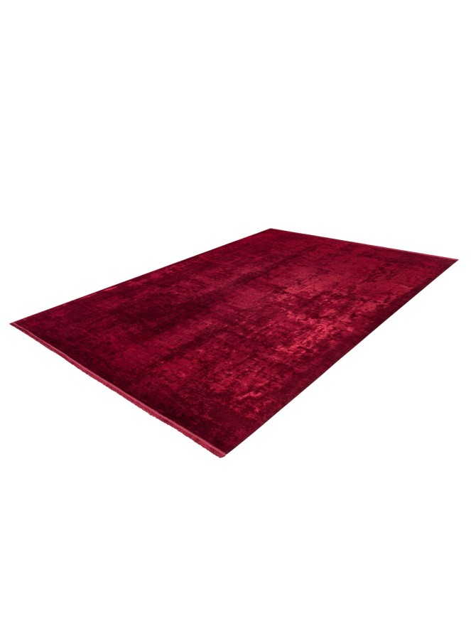 Studio Distressed Red Rug - 6
