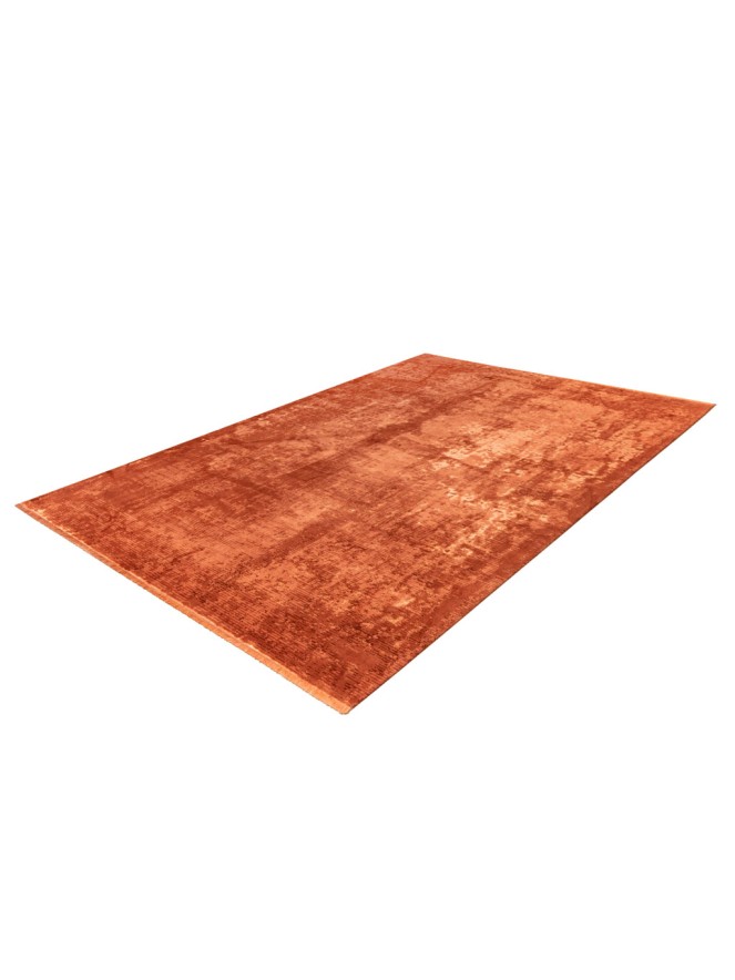 Studio Distressed Terra Rug - 6