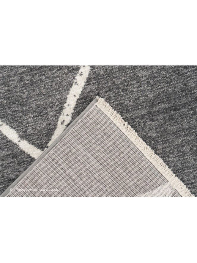 Elmira Silver Rug - 4