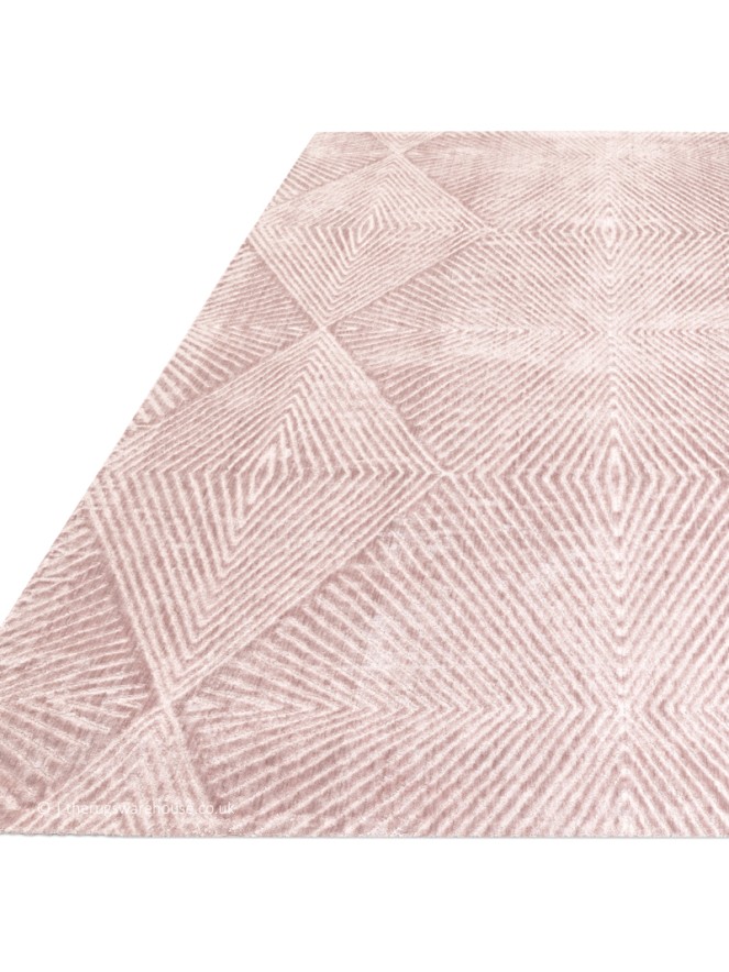 Blaize Blush Rug - 4